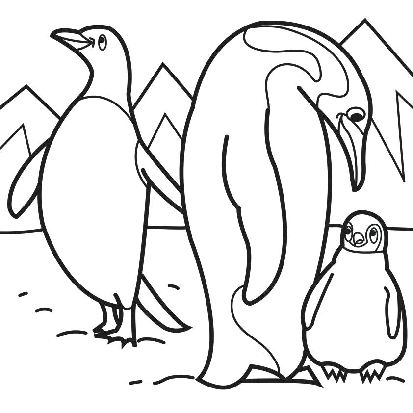 842x842 Coloring Pages Of Penguins Penguin Color Page Animal Coloring