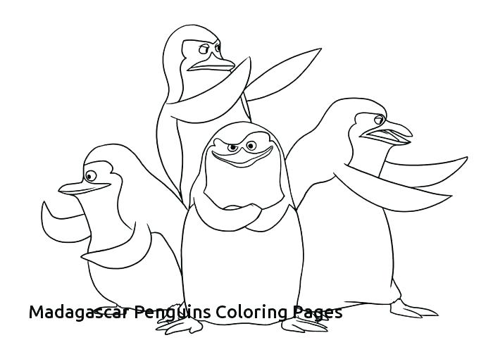 700x500 Coloring Pages Penguins Fabulous Penguin Coloring Page Preschool