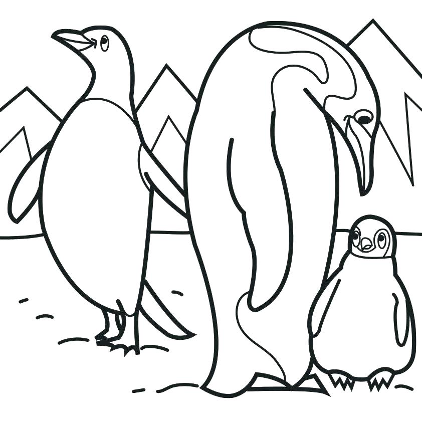842x842 Penguin Coloring Pages Free Printable Penguins Coloring Pages