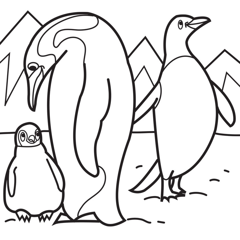 842x842 Penguin Coloring Pages To Print Preschool Humorous Page Image