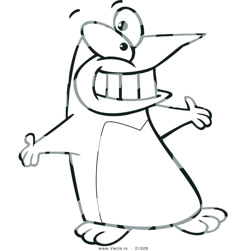 805x821 Coloring Pages Of Penguins Best Photos Of King Penguin Coloring