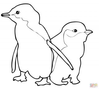 320x288 Penguins Of Madagascar Coloring Pages Pdf Penguin Pictures