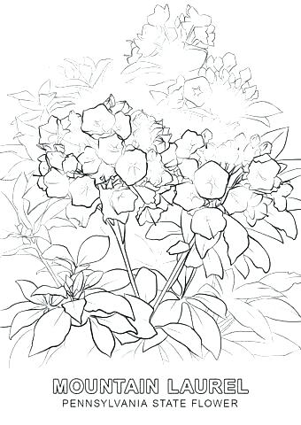 340x480 Pennsylvania Coloring Pages Click On An Image To View And Print