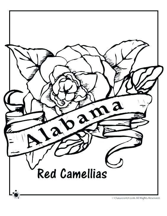 564x729 Pennsylvania Coloring Pages Coloring Pages Click On An Image
