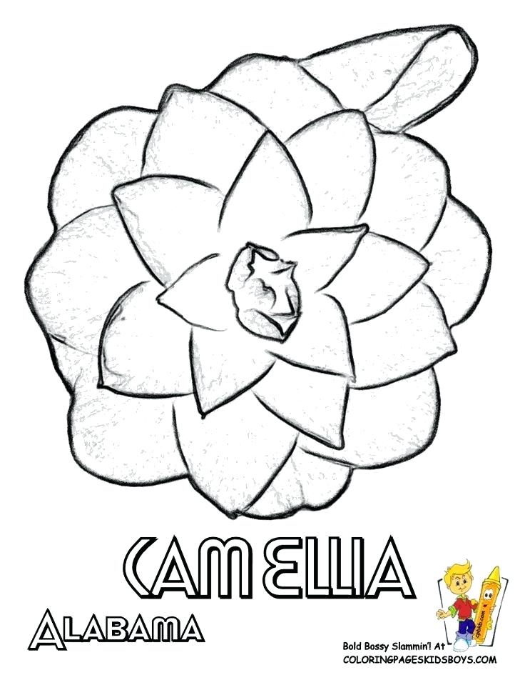 736x952 Pennsylvania Coloring Pages Free Flourishing Flower Coloring Pages