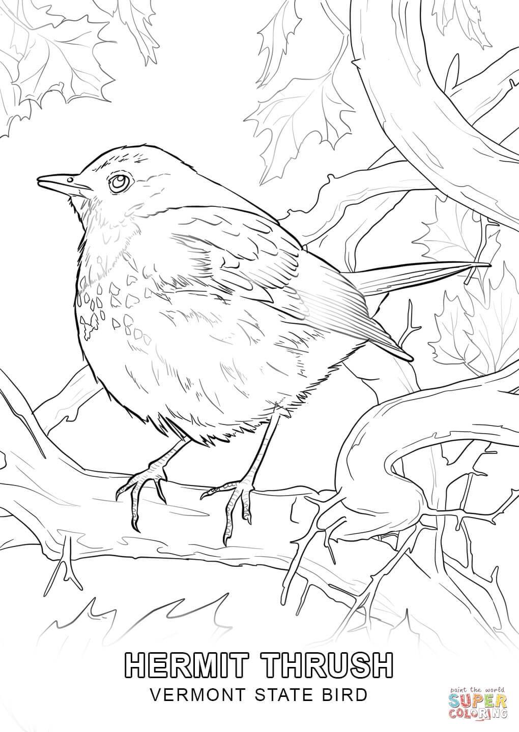 1020x1440 Shocking Pennsylvania State Bird Coloring Page Of Pic For A Flower