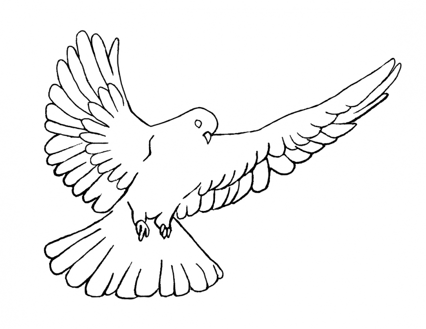 866x669 Holy Spirit, Dove, Pentecost Coloring Page Crossmap