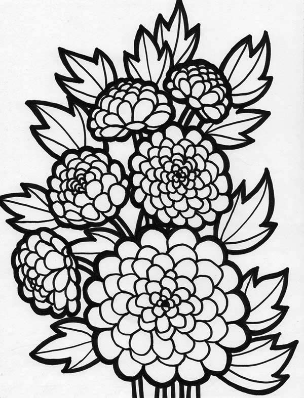 600x787 Peony Flower Coloring Page
