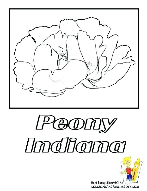 612x792 Mistletoe Coloring Pages