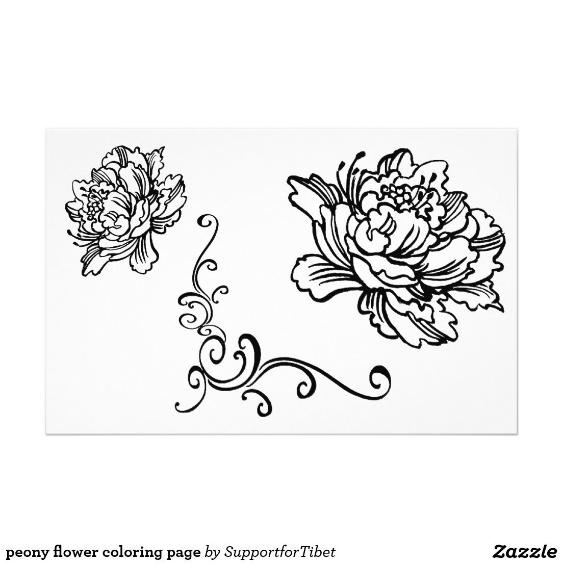 1104x1104 Peony Flower Coloring Page Stationery Awesome Women In Business