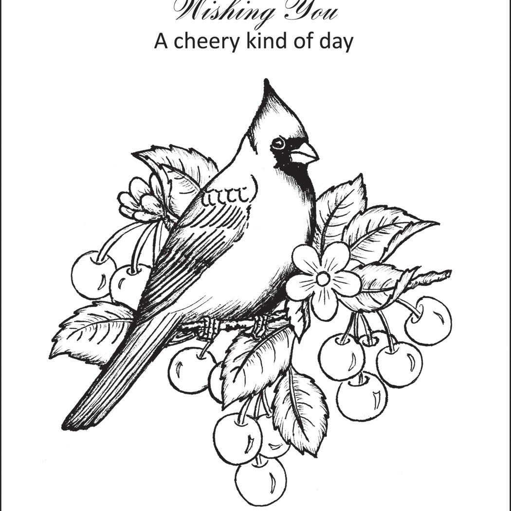 1050x1050 Cardinal Coloring Pages Red Bird Page Baseball Saint Louis St