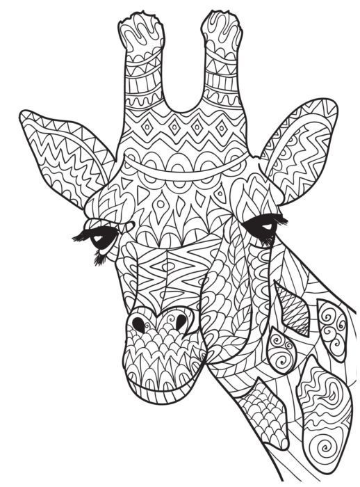 518x700 Giraffe Coloring Pages Awesome Ten Adult Coloring Pictures