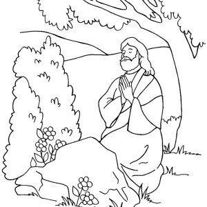 300x300 Free Printable Coloring Pages