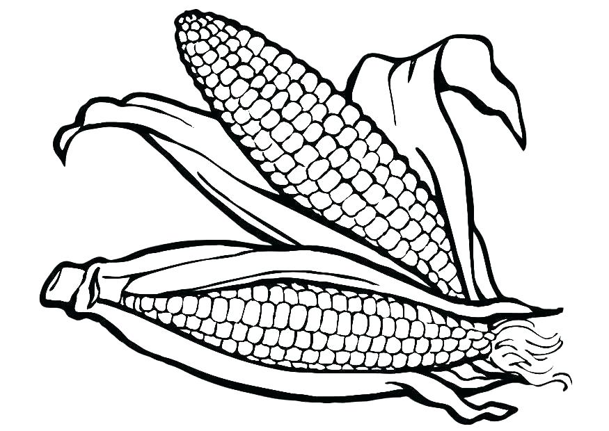 875x620 Corn Husk Coloring Page Coloring Pages Remarkable Peppermint Candy