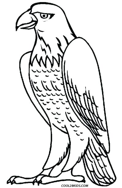 398x610 Peregrine Falcon Coloring Page Printable Eagle Coloring Pages