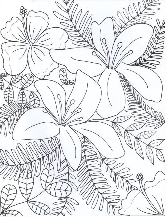 570x738 Drawn Bottle Coloring Page