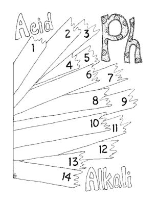 309x400 Ph Worksheet Coloring Page Litmus Paper Chemistry Pdf Printable