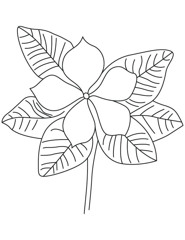 720x936 Purple Coloring Pages