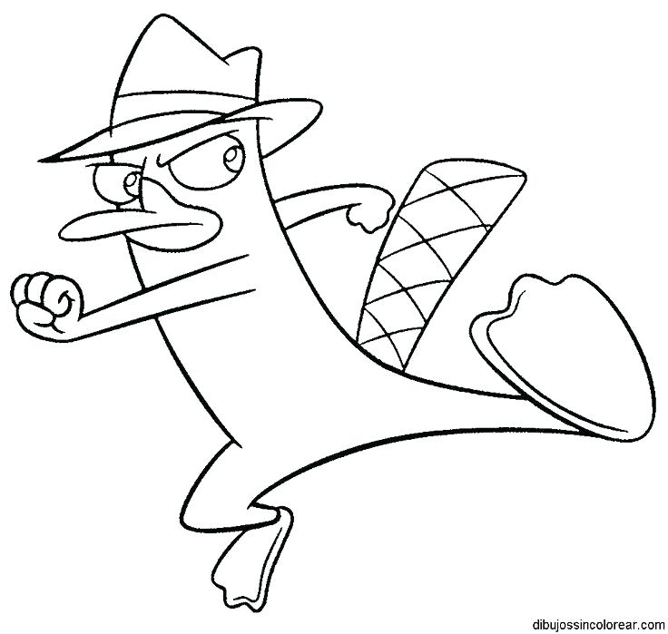 736x699 Platypus Coloring Page Platypus Coloring Page Platypus Coloring