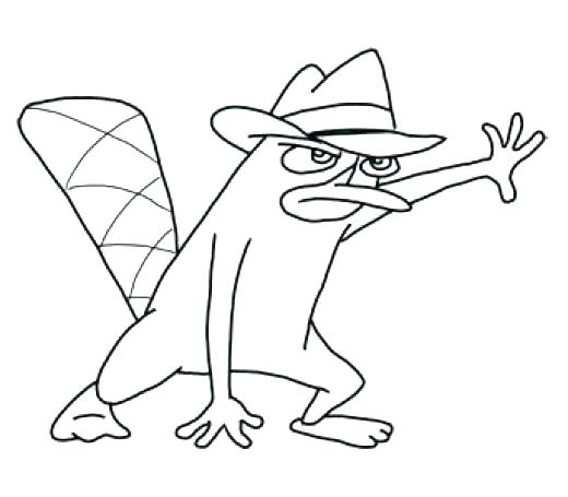 520x455 Perry The Platypus Coloring Pages