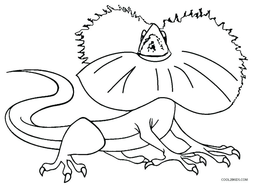 863x636 Perry The Platypus Coloring Pages Color Sheets The Platypus