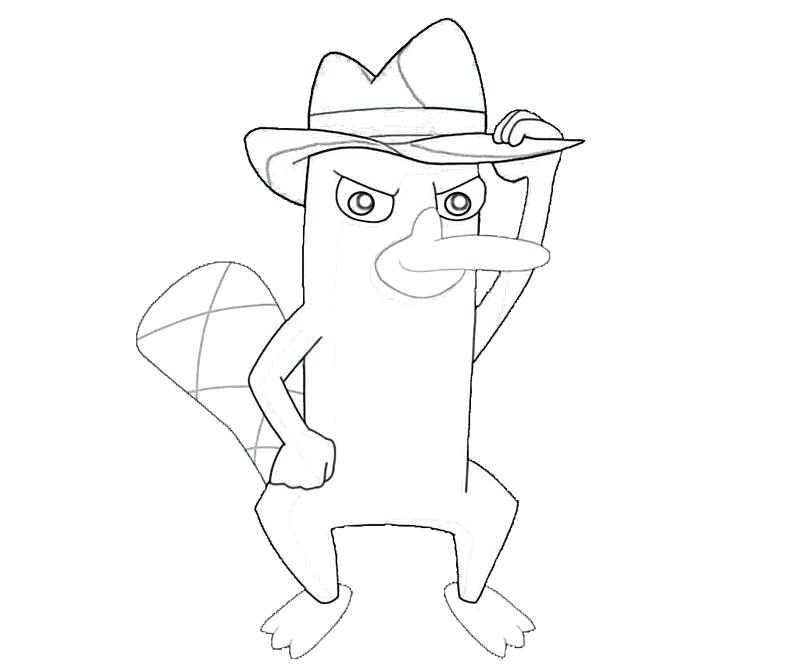 800x667 Perry The Platypus Coloring Pages Coloring Pages Of The Platypus