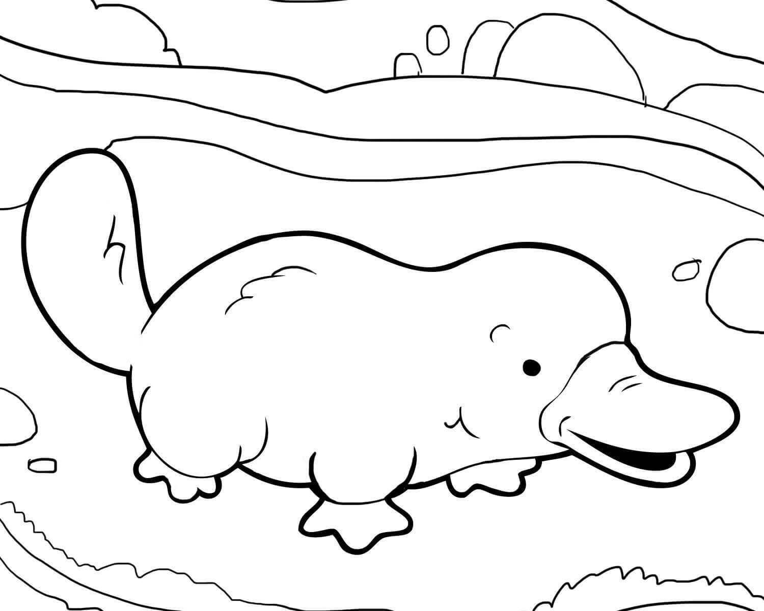 1500x1200 Perry The Platypus Coloring Pages To Download Excellent Free