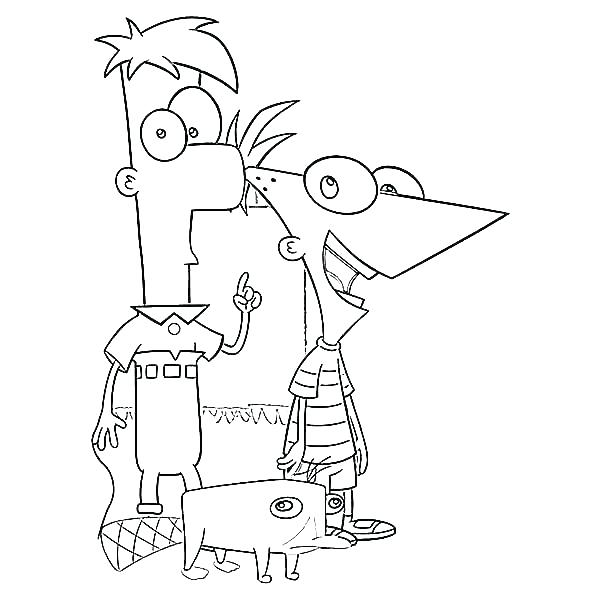 600x600 Perry Platypus Coloring Pages Deepart