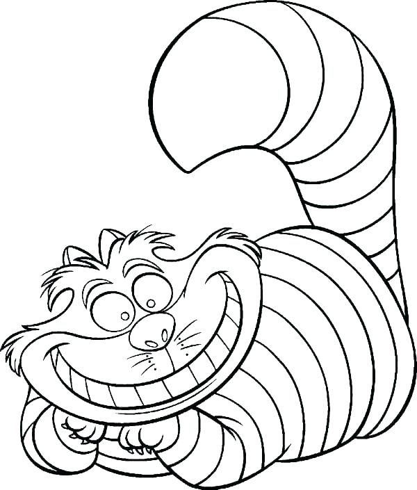 600x705 Cat Color Picture Click Image For More Cat Color Cheshire Cat