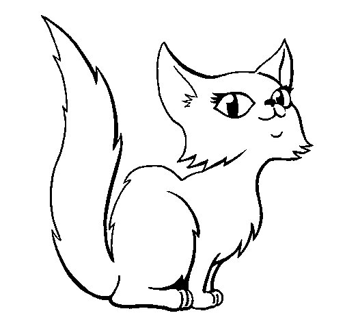 505x470 Persian Cat Coloring Pages