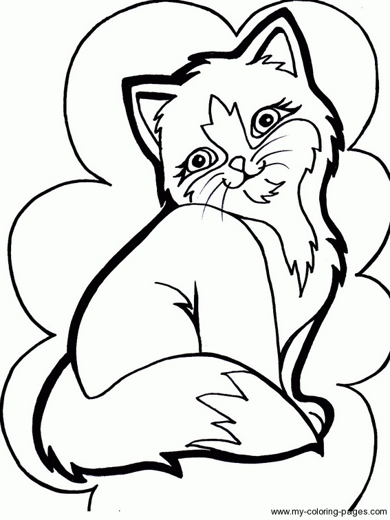 567x756 Persian Kitten Coloring Page Patterns Persian