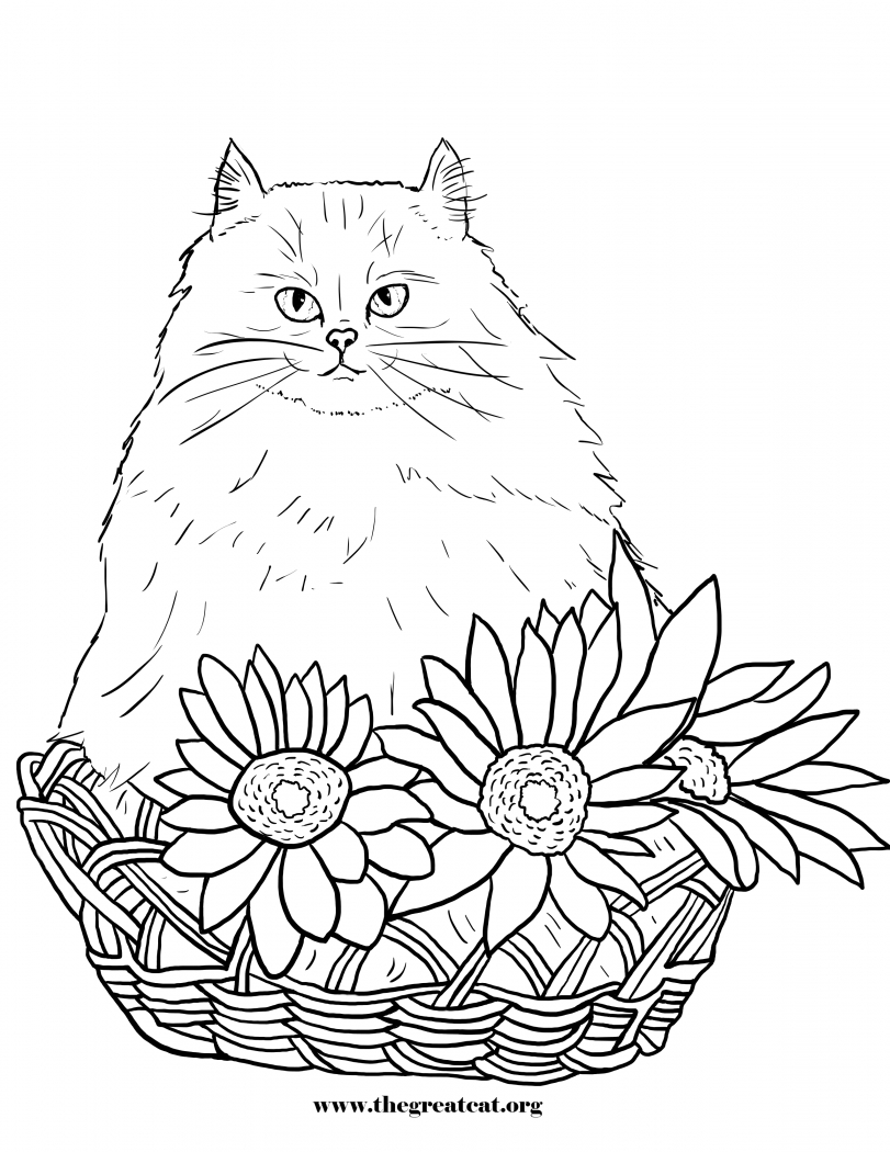 811x1050 Fresh Persian Cat Coloring Pages Collection Printable Coloring Sheet