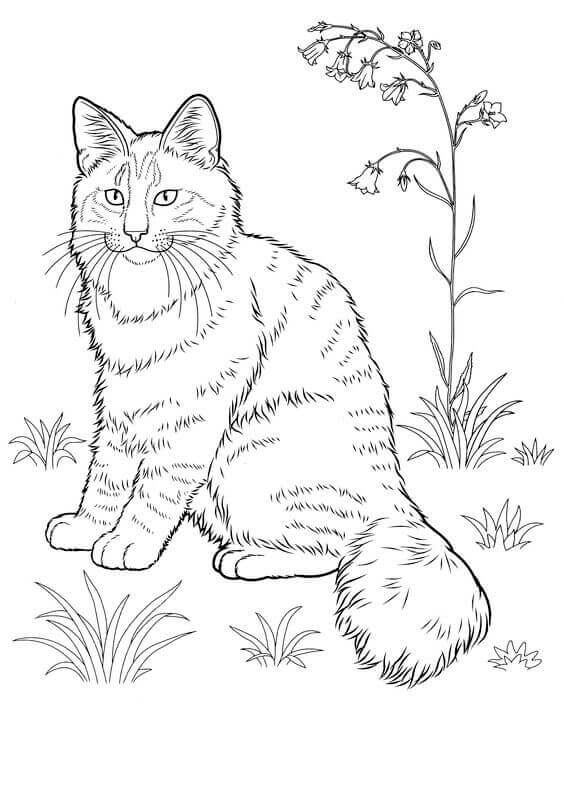 564x787 Free Printable Cat Coloring Pages
