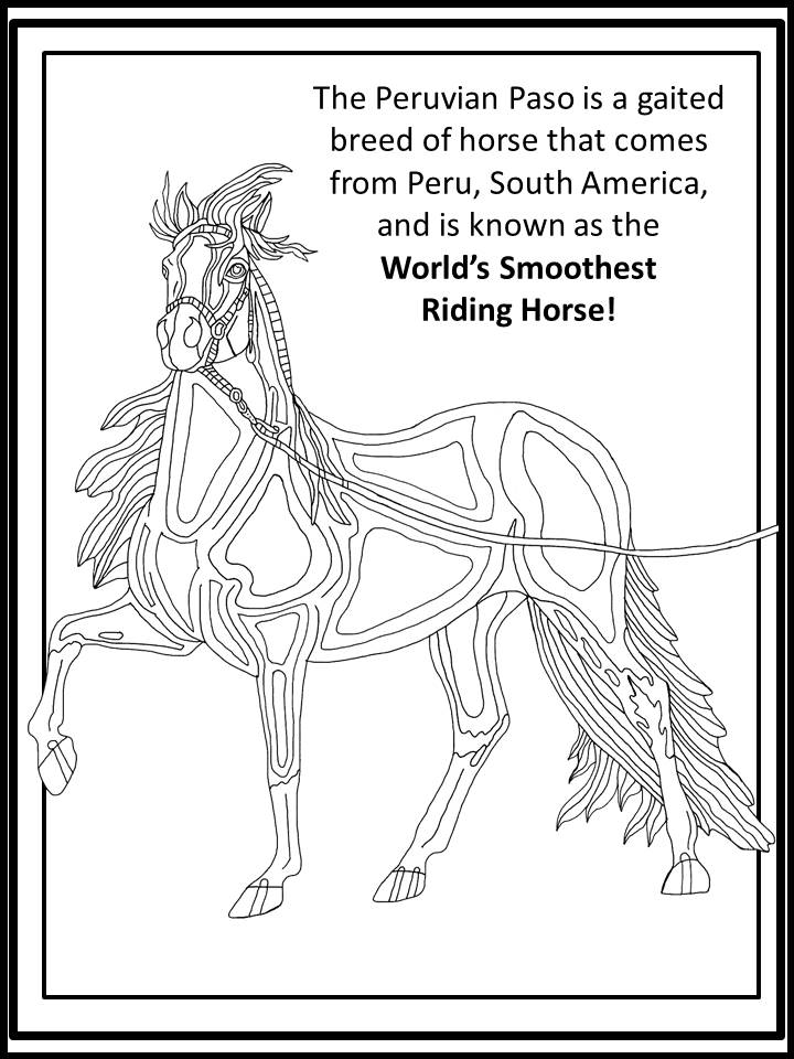 720x960 Homehorse Coloring Books