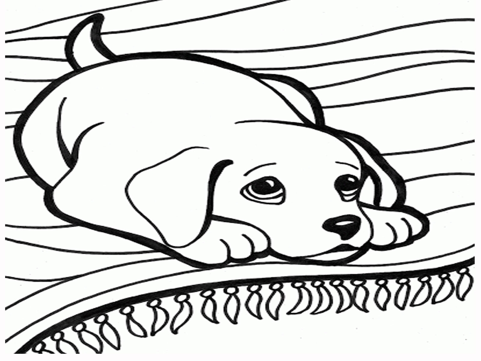1600x1200 Funny Animals Coloring Page Cute Dog Coloring Pages Printable
