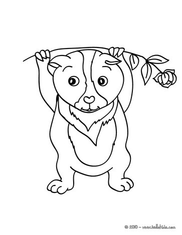 363x470 Pet Coloring Pages