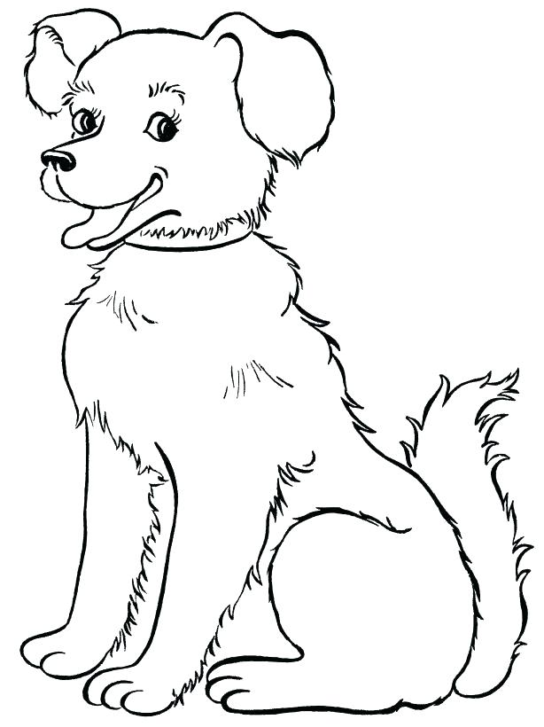 614x820 Cats And Dogs Coloring Pages Animal Color Page Beautiful Dog