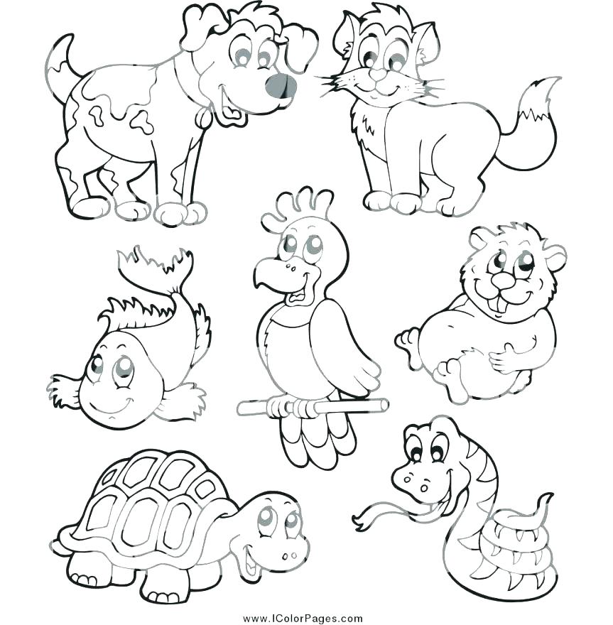 863x880 Pets Coloring Pages Pets Coloring Pages Pets Coloring Pages
