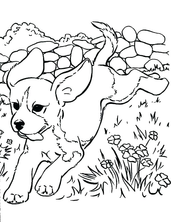 600x780 Puppy Coloring Puppy Printable Puppy Coloring Pages For Kids Free