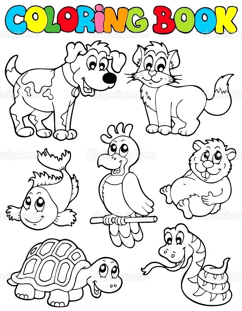 795x1023 Coloring Pages Pet Coloring Pages Pictures Of Animals Now Palace