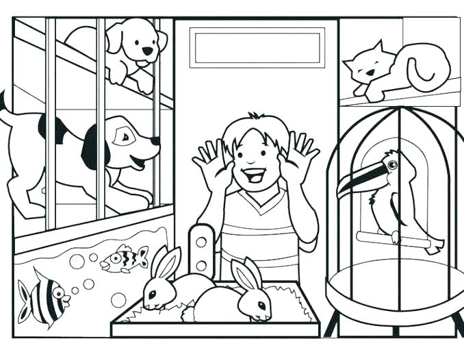 678x530 Palace Pets Coloring Pages Icontent