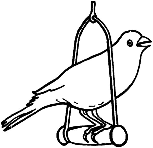 600x579 Canary Bird Pet Coloring Pages Best Place To Color