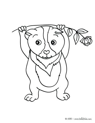 363x470 Coloring Pages Of Pets Colouring Pages Pet Shops