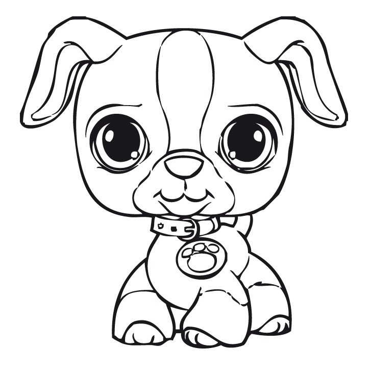 727x731 Contemporary Decoration Littlest Pet Shop Coloring Pages Littlest