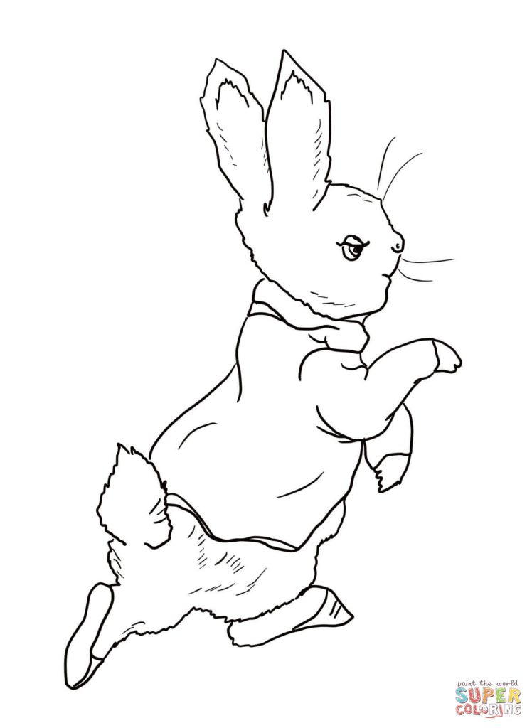 748x1024 Peter Rabbit Coloring Pages