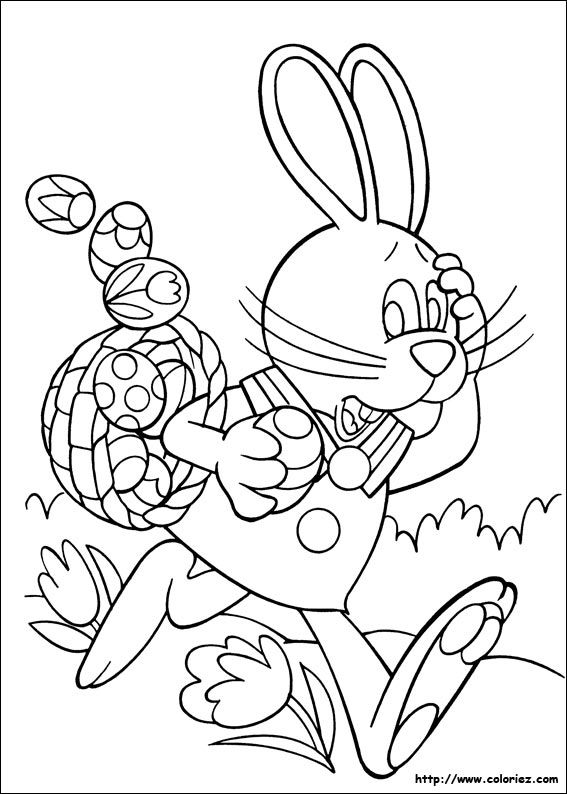 567x794 Peter Cottontail