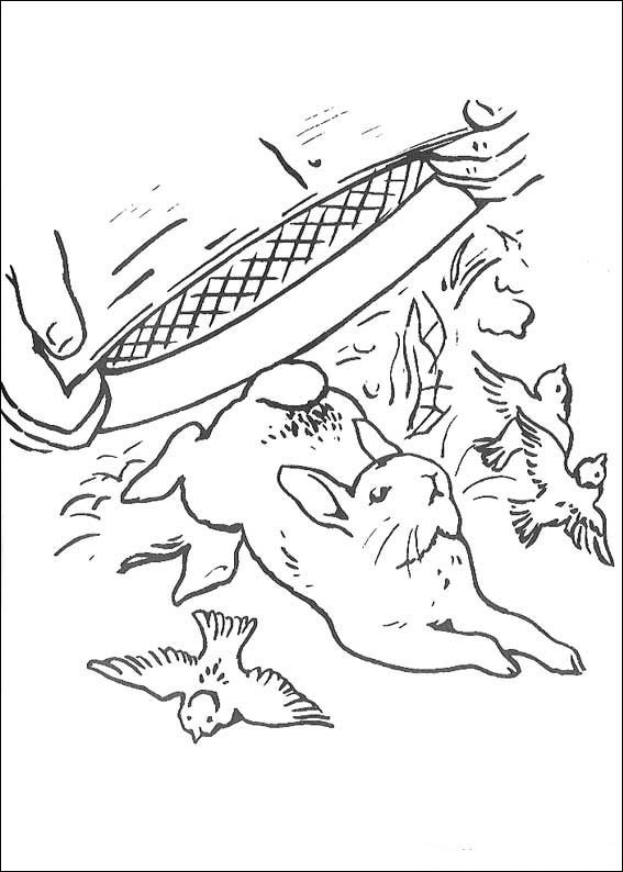 567x794 Kids N Coloring Pages Of Peter Rabbit