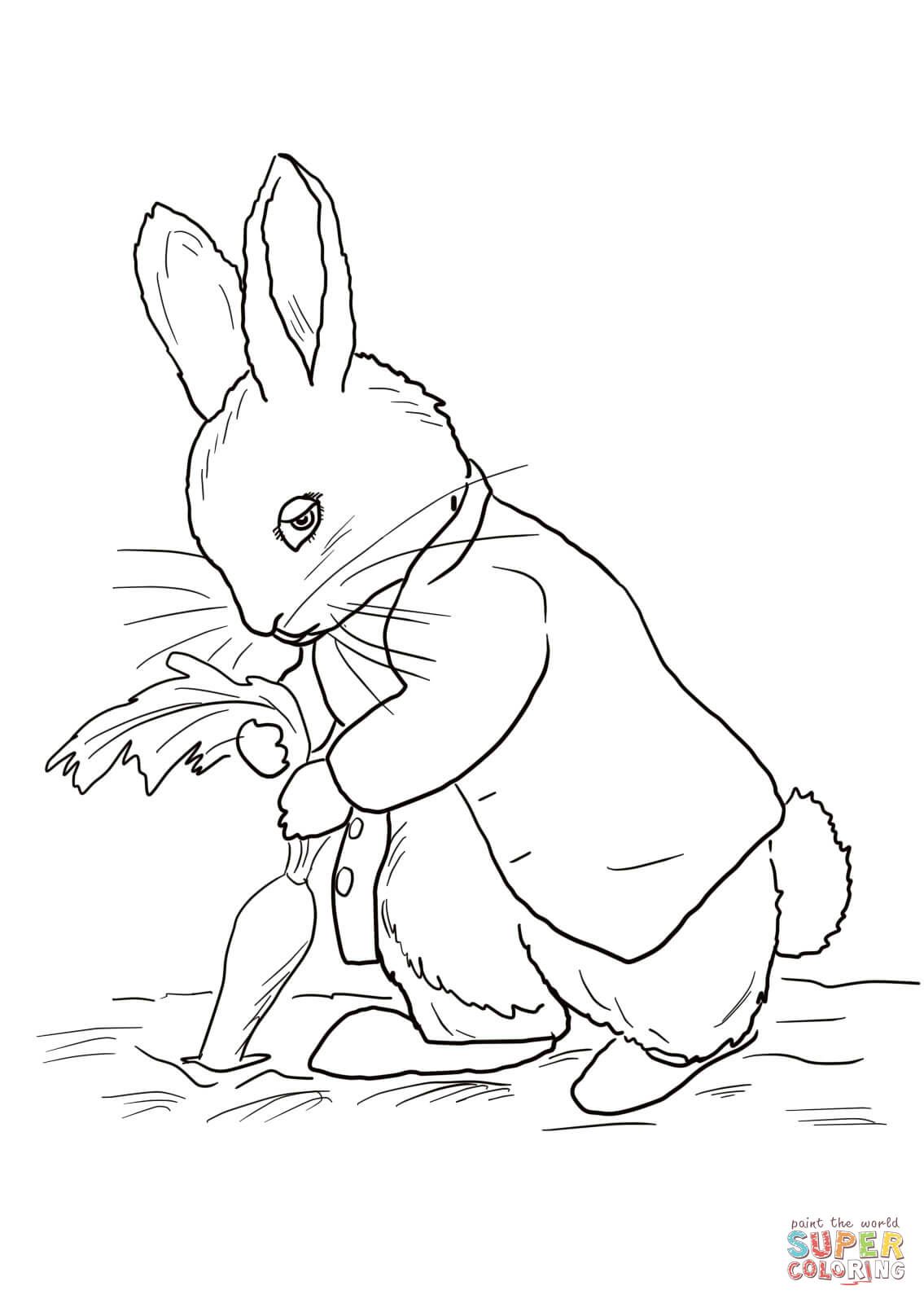 1135x1600 Peter Rabbit Coloring Pages