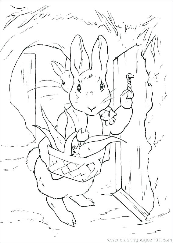 567x794 Coloring Pages Rabbit Peter Rabbit Coloring Pages In Addition