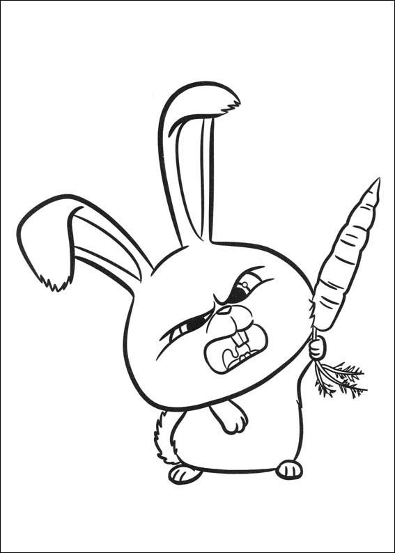 567x794 The Secret Life Of Pets Coloring Pages Baby Checklist